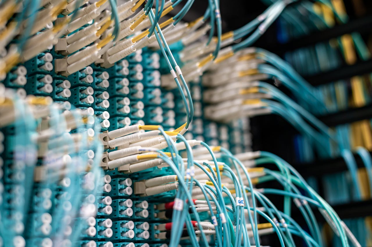 team-03 Detailed view of fiber optic cables connected to a patch panel in a data center.